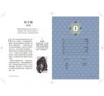 盧恩符文神諭占卜卡【第一副最完整中文化牌卡】(The Rune Box: Tools To Connect You To The Magic Of The Universe)