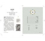 盧恩符文神諭占卜卡【第一副最完整中文化牌卡】(The Rune Box: Tools To Connect You To The Magic Of The Universe)