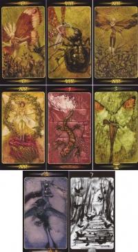 Tarot Of The Secret Forest