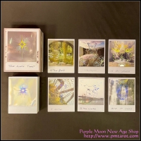 True North Tarot