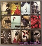 Journey Of A Lonely Soul Oracle Cards