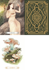 A Compendium of Witches