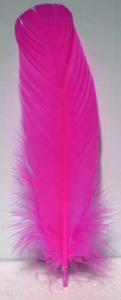 Feather