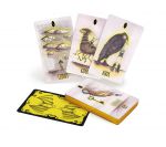 Shadowland Lenormand