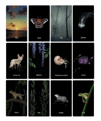 Nocturna Oracle Deck