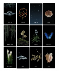 Nocturna Oracle Deck