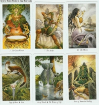 The Wildwood Tarot Kit