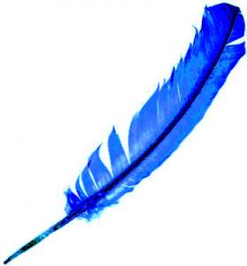 Feather