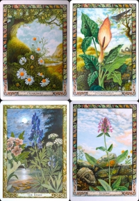 The Druid Plant Oracle