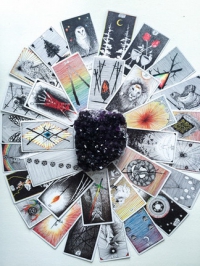 The Wild Unknown Tarot 2nd Limited Edition