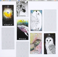 The Wild Unknown Animal Spirit Deck 1st Edition