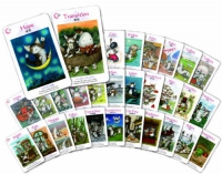 Dayans Fortune Oracle cards