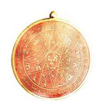 Intellectual Abilities