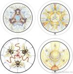 The Transparent Oracle