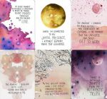 The Universe Has Your Back