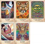 Earth Warriors Oracle