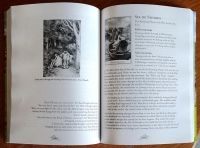 The Alice Tarot Companion Book 1st edition