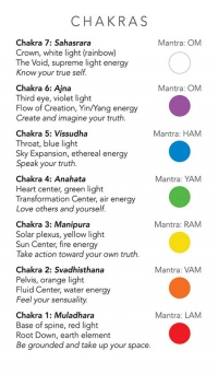 White Sage Tarot In A Tin (Pocket Size)