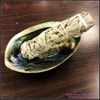 Abalone Shell Burner