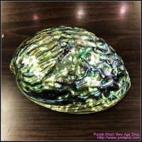Abalone Shell Burner