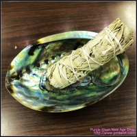 Abalone Shell Burner