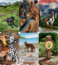 Magical Dogs Tarot Kit