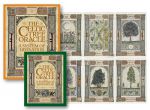 The Celtic Tree Oracle : A System Of Divination