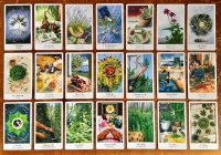 The Herbcrafter's tarot