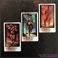 St. Jinx Arcana Divine Masculine Xxx Edition With Zodiac Add-On Cards