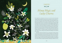 The Practical Witch's Spell Deck : 100 Spells for Love, Happiness, and Success