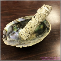 Abalone Shell Burner