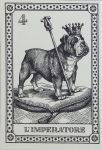 I Cani Del Mondo Tarot (Dogs Tarot)
