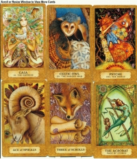 Chrysalis Tarot Deck And Book Set