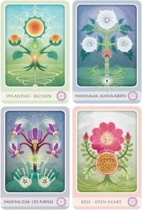 Herbal Healing Deck