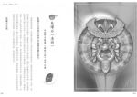 水晶天使444：天地合一的神聖療癒力量 (CRYSTAL ANGELS 444 Healing with the Divine Power of Heaven & Earth)
