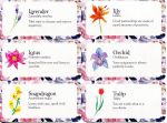 Flower Petals Inspiration Cards