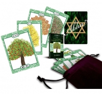 心靈樹卡：占卜‧療癒‧靜心(41張樹禪卡＋牌卡使用解說書＋牌卡收納絨袋)