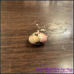 Rhodonite Tumbled Stone