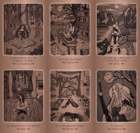 Wild Woman Oracle: Awaken Your True, Free and Soulful Self