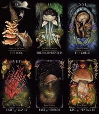 Midnight Magic: A Tarot Deck of Mushrooms