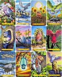 Tarot Of The Owls