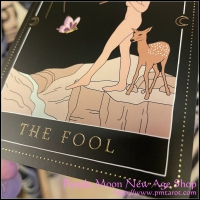 Moon Witch Tarot Black Box edition