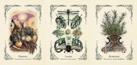 The Green Witch's Oracle Deck: Embrace The Wisdom And Insight Of Natural Magic
