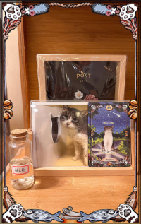 Save Cats Tarots Pocket Size