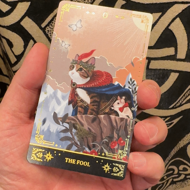 Muse Cat Tarot 2nd Limited Edition