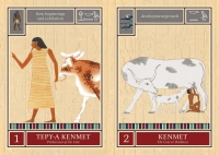 Egyptian Star Oracle