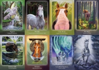 The Council Of Horses Oracle