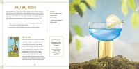 Spirits Of The Tarot: From The Cups' Abundance To The Magician's Creation, 78 Cocktail Recipes Inspired By The Tarot