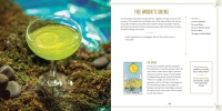 Spirits Of The Tarot: From The Cups' Abundance To The Magician's Creation, 78 Cocktail Recipes Inspired By The Tarot
