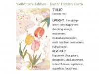The Whisper Of Stars And Garden Tarot Collector's Edition - Earth